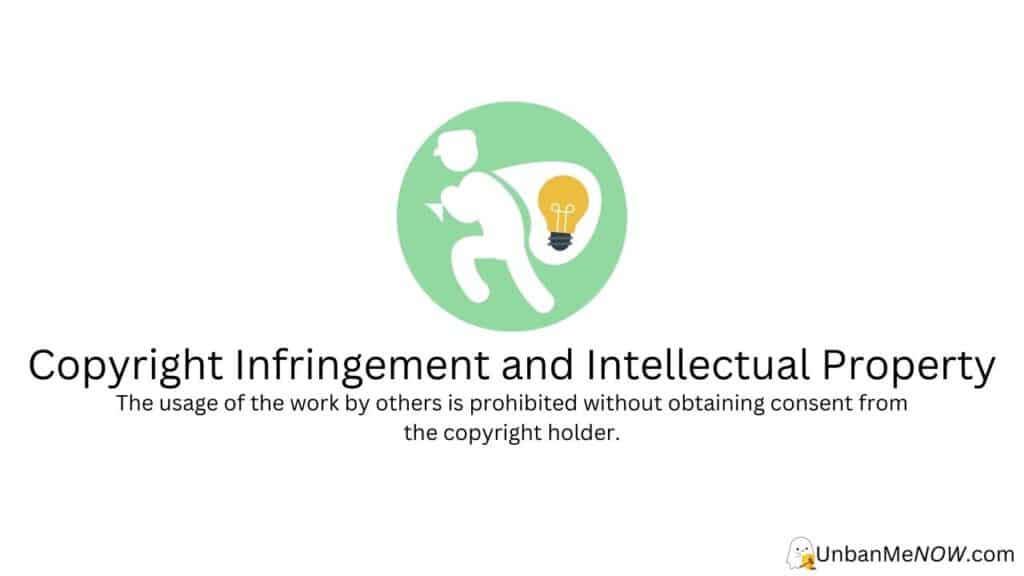 Copyright Infringement and Intellectual Property