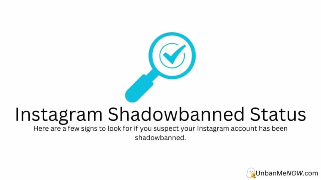 Instagram Shadowbanned Status